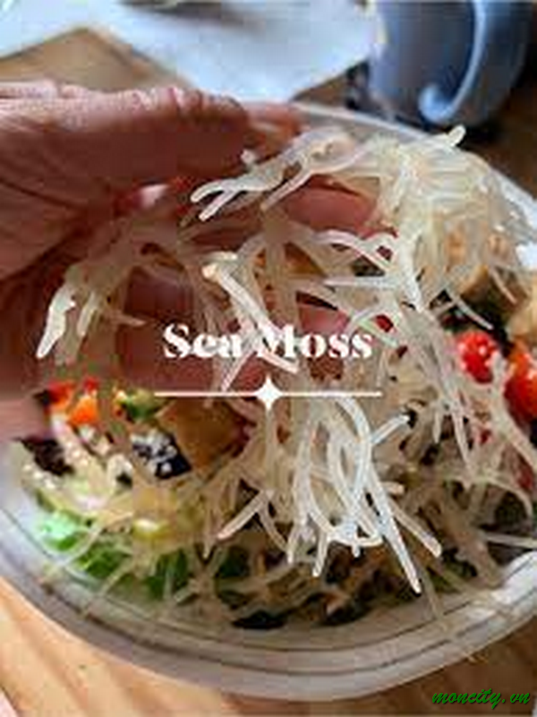 Lợi ích của Sea Moss đối với sức khỏe