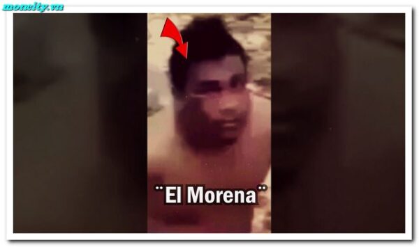 Watch Video Original No Te Duermas Morena Twitter 