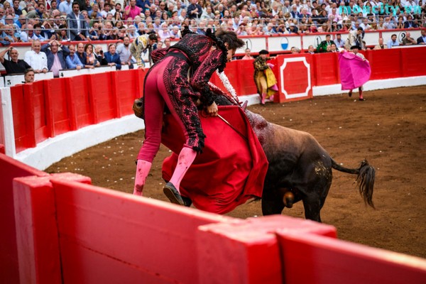 Video Roca Rey Santander - El toro lo atacó y lo hirió