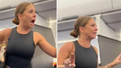 Unhinged Woman On Plane Not Real Reddit