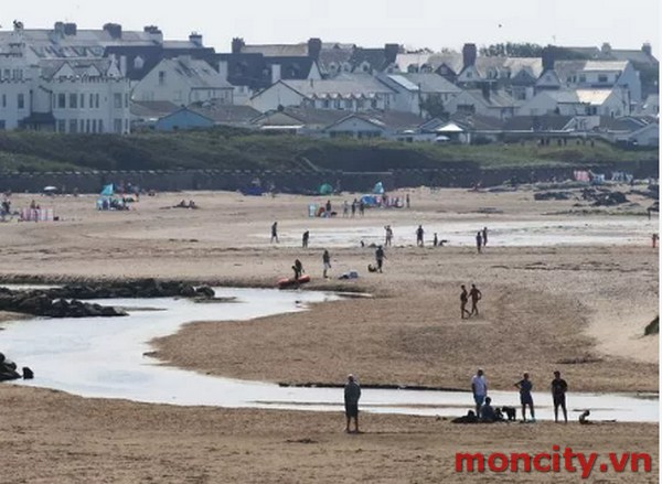 Breaking News: Body Found In Anglesey