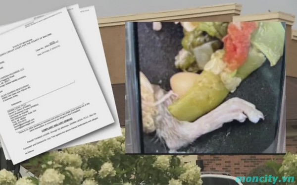 Rat foot in Olive Garden soup Man files lawsuit against restaurant