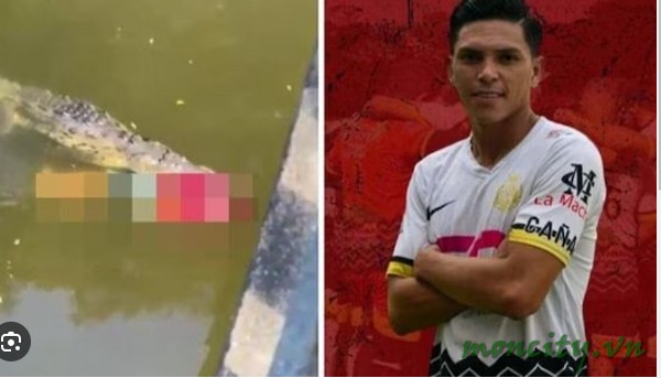 Costa Rica Soccer Player Crocodile Video