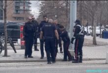 Incident stabbing and assault in Southeast Calgary today