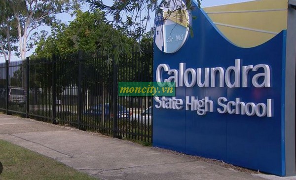 Caloundra High Stabbing: What We Know So Far