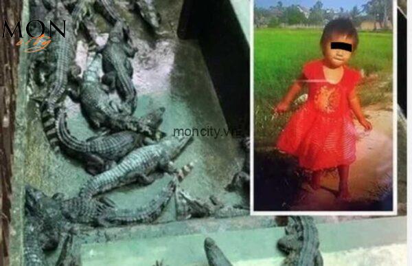 The Baby Red Dress And Alligator Video Incident: A Shocking Tragedy